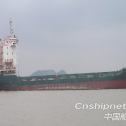 24000万标箱集装箱船 出售8700吨599箱位集装箱船
