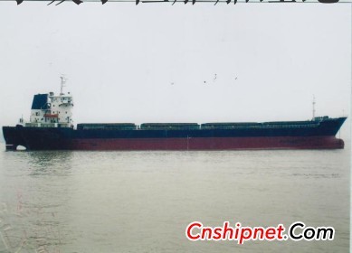 5000吨散货船价格 17241吨散货船