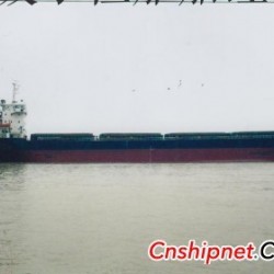 5000吨散货船价格 17241吨散货船