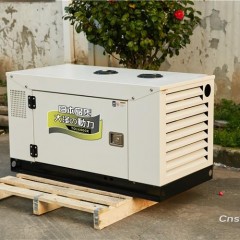 12kw柴油发电机 船用12kw水冷柴油发电机图2