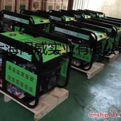 汽油发电机什么牌子好 10KW汽油发电机开架式与静音美国SHWIL闪威图1