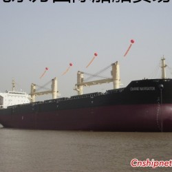 T5000 供应55000T散货船