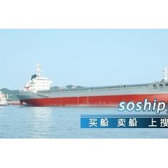 智能建造专业 专业建造杂货船图1