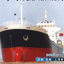 55500吨杂货船 5800吨杂货船出售