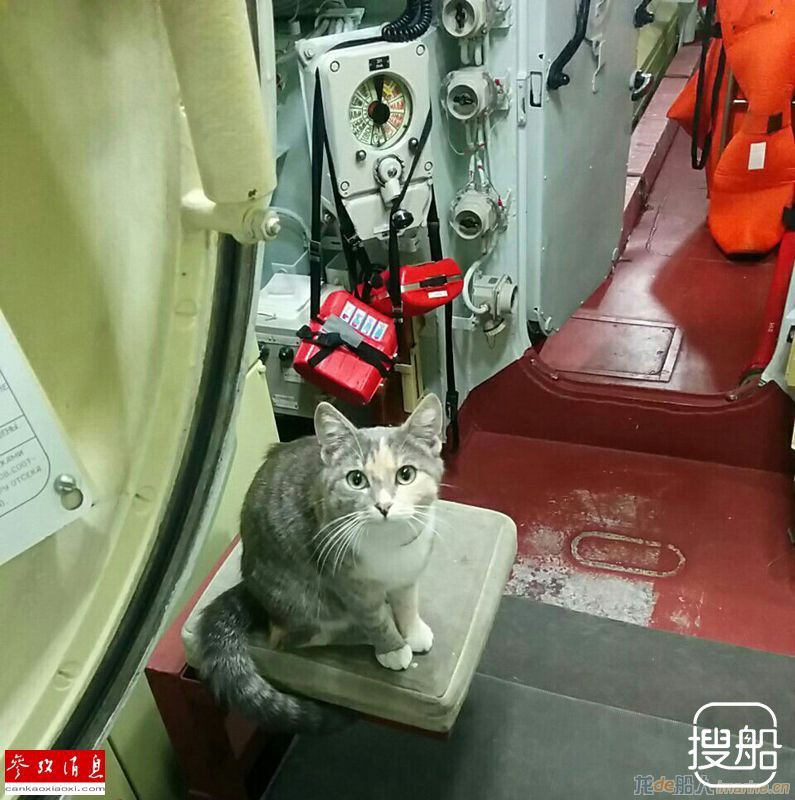 揭秘俄罗斯核潜艇战斗猫