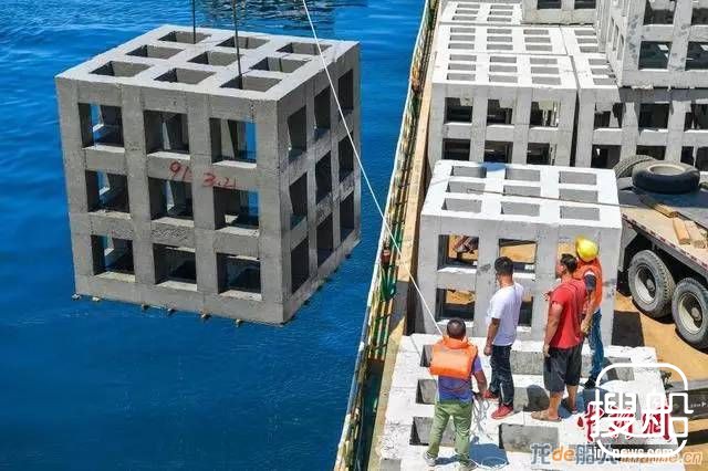 废旧海警船当鱼礁