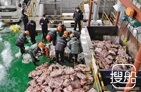 走私也“培训”：花4万元学做海员