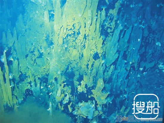 “蛟龙”号发现大量死亡烟囱体