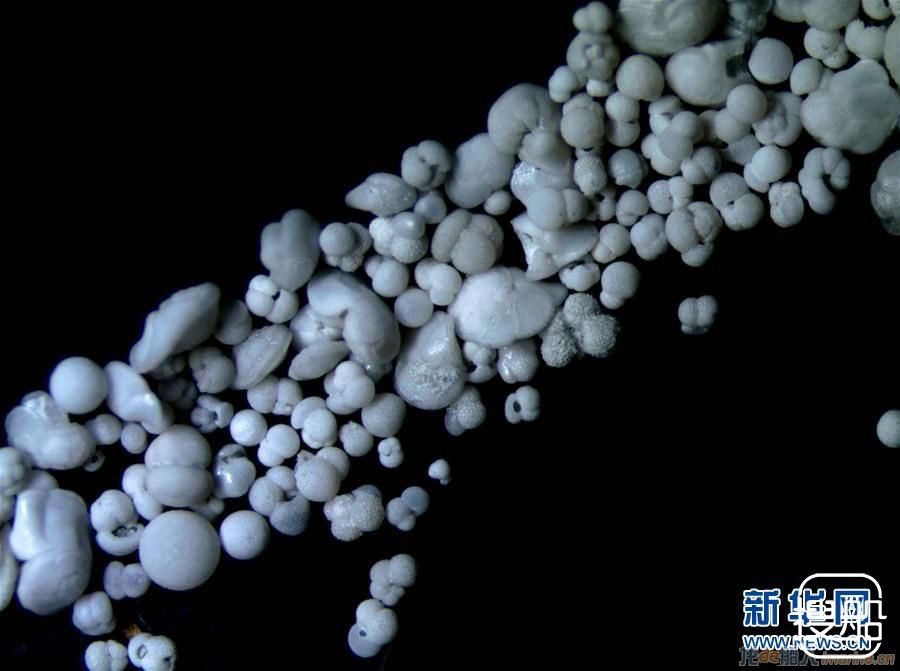 “决心”号大洋钻探船:邂逅40万年前生活在南海的美丽有 ...