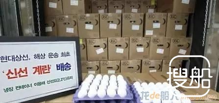 船运进口鸡蛋！现代商船韩国首开先例