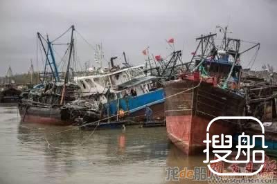 渔民捡到3具高度腐败海漂尸 疑是“4·20”海难船员