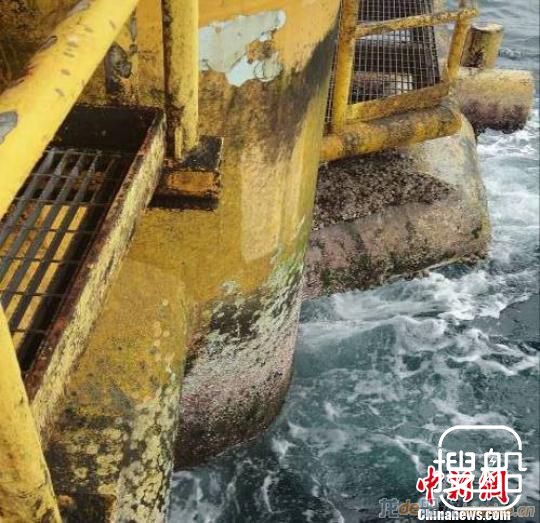 钻井平台海生物被机器人一“扫”而空