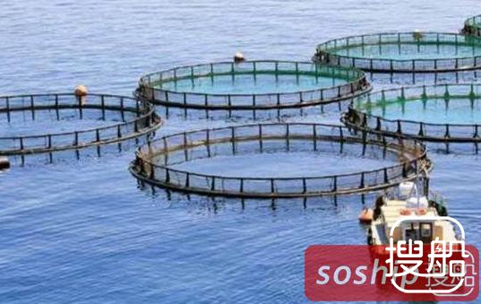 深远海渔业养殖装备，冬天里的一把火？
