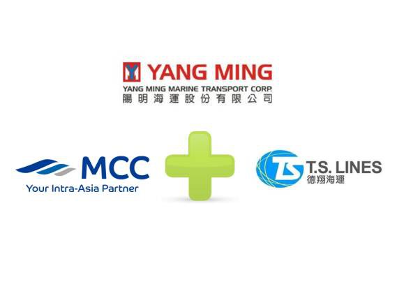 阳明海运新增中国至海防航线 强化亚洲航线服务网络