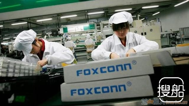 60万只蟑螂藏在集装箱船上欲入境！怎么办？