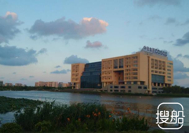 上海海事大学去年就业率达98%