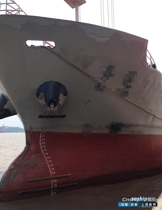 3000吨级集装箱船图片 转让3000吨集装箱船