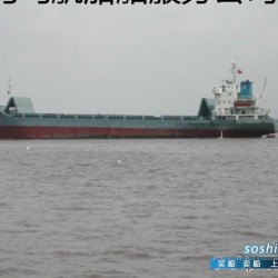 25000万标箱集装箱船 267TEU集装箱船出售 - 图片 2