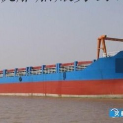 中国最大的集装箱船多少吨 8950吨多用途集装箱船