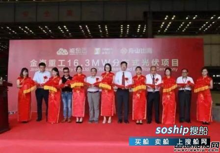 叶县金海新能源光伏发电有限公司 金海重工分布式光伏发电项目正式开工