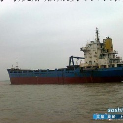 水陆两用船 5000吨集装两用船300TEU