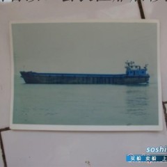散杂货船 出售3250散集货船