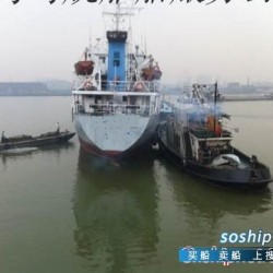 7.5马力汽油船挂机 汽油船（退役船） - 图片 3