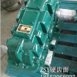 专业生产齿轮 ZSY200-22.4-1小齿轮厂家专业生产