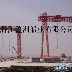 T细胞 在建4000T/4800T油船寻求代理合作新船东图3