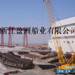 T细胞 在建4000T/4800T油船寻求代理合作新船东