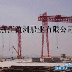 T细胞 在建4000T/4800T油船寻求代理合作新船东