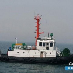 HP尿素酶B阳性(+)是什么意思 转让4000BHP 港作拖轮图1