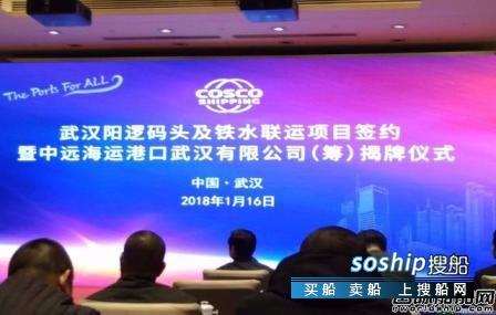 中远海运码头 中远海运集团武汉阳逻码头项目揭牌