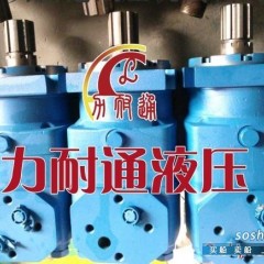 低速液压马达视频 低速大扭矩液压马达图1