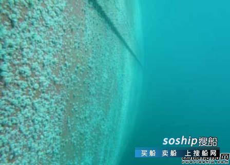 渤海船舶职业学院贴吧 德国校企合作研发新型环保船舶防污涂料