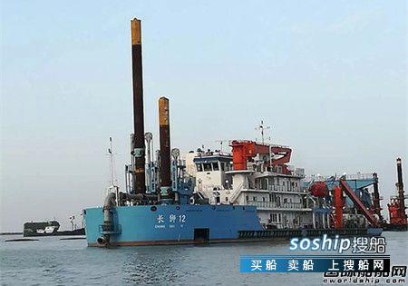 武船杨志刚 武船建造“长狮12”钢桩定位系统通过验收