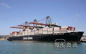 阳明海运有限公司 阳明海运一季度净利增加