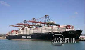 中远海运集装箱船 阳明海运放弃订造超大集装箱船