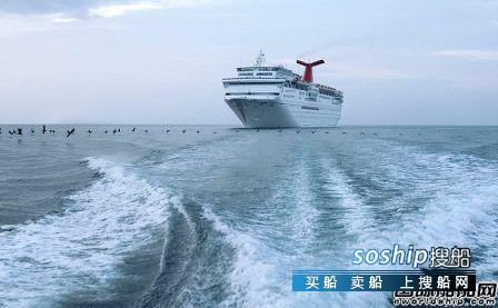 国内有哪些lpg和lng船船东 最大邮轮船东称邮轮改装LNG动力不可行