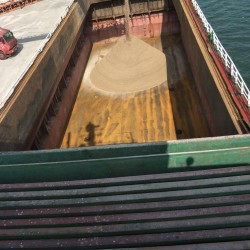 3000吨散货船出售 出售5300吨散货船