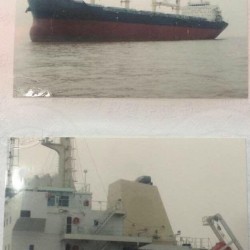 3000吨散货船出售 出售56000吨散货船