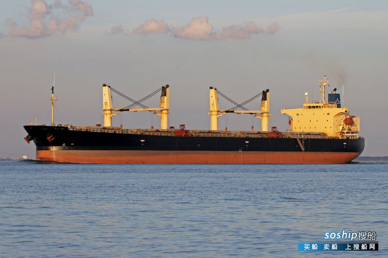 3000吨散货船出售 出售53035吨散货船