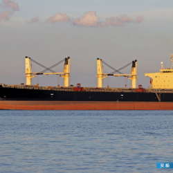 3000吨散货船出售 出售53035吨散货船