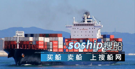 5000吨集装箱船多少钱 出售4253箱集装箱船