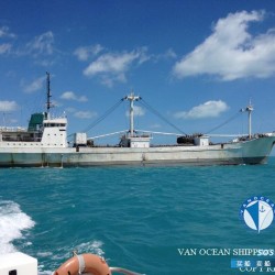 二手货船出售冷藏船 出售3000吨冷藏船