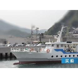 飓母偏惊旅客船 出售80人旅客船