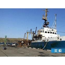 福建单拖渔船下网视频 出售218吨拖网渔船