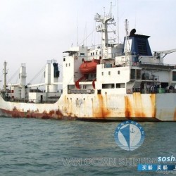 二手货船出售冷藏船 出售3642吨冷藏船