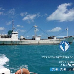 二手货船出售冷藏船 出售1835吨冷藏船