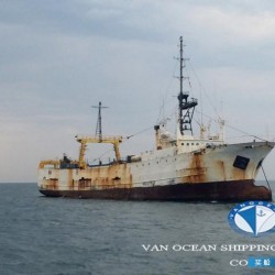 二手货船出售冷藏船 出售603吨冷藏船